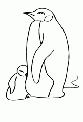 Пингвин и дитя