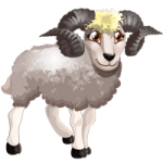 Раскраска Баран Распечатать бесплатно