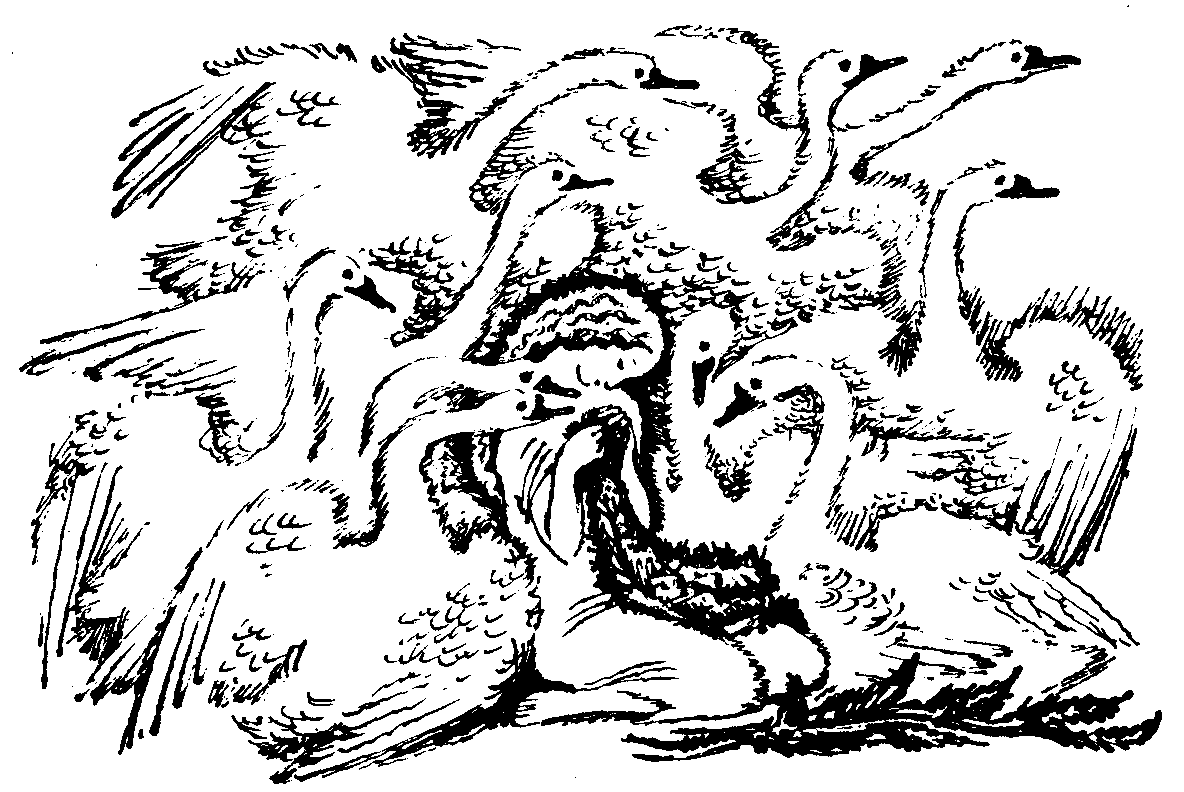 Раскраска к сказке Дикие лебеди г.х.Андерсена