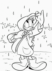 Дейзи под дождем