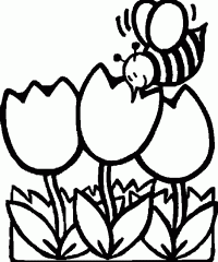 пчелка и тюльпаны
