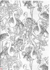 птицы фламинго