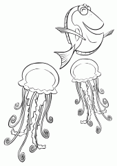 Медузы и Дори