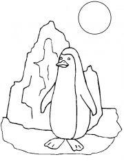 Пингвин около айсберга