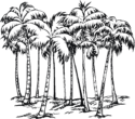 Раскраска пальмы