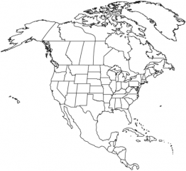 Рисунок северная америка