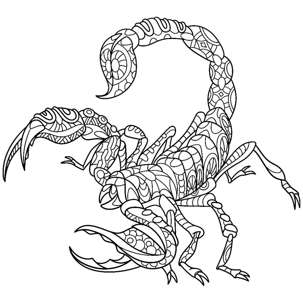 Скорпион раскраска
