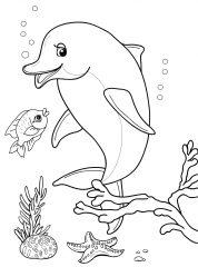 Дельфин и коряга