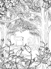 Раскраска Волшебный лес