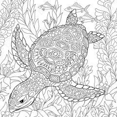 Черепаха в водорослях