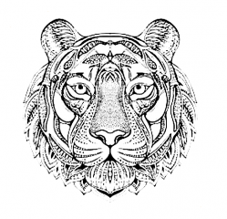 рисунок антистресс тигр
