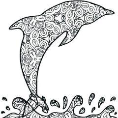 Дельфин антистресс над водой