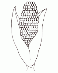 Кукуруза с листьями