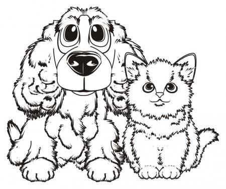 Раскраски Кошка и собака распечатать бесплатно