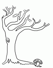 детская раскраска дерево без листьев