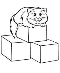 Кубик и кот