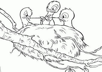 Раскраска Гнездо с птенцами