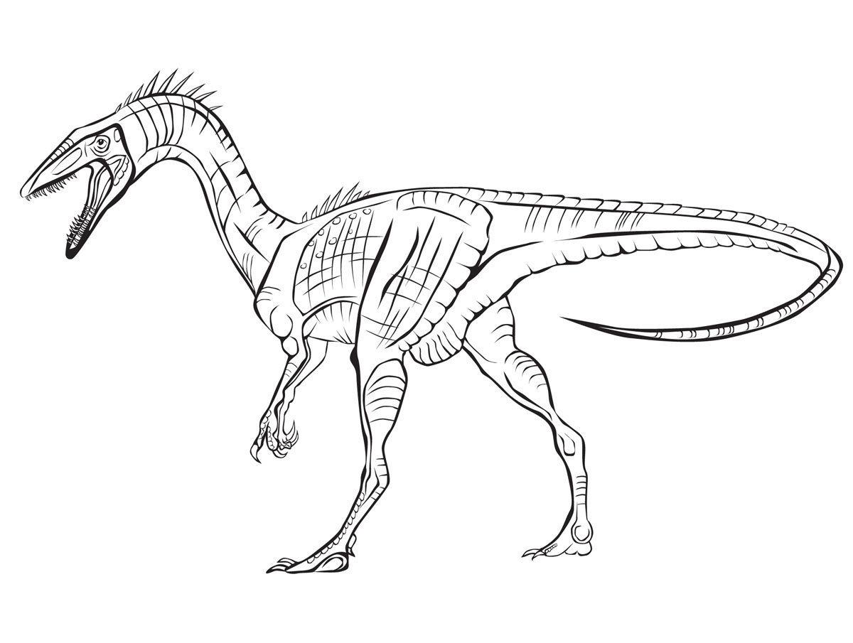 Спинозавр раскраска