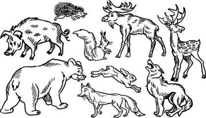 Рисунок Лесные животные