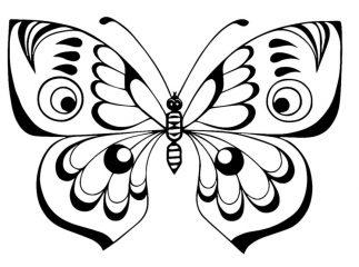 Бабочка с узорами
