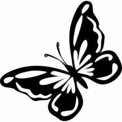 Бабочка с рисунком
