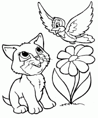котенок и цветок