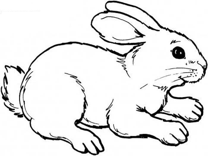 Раскраска заяц из мультика