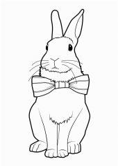 Кролик с галстуком