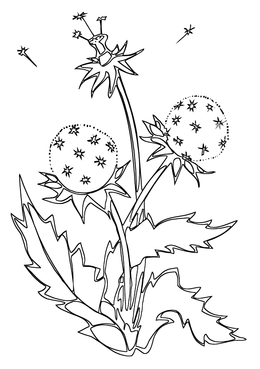 Лечебные растения раскраска