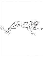 Бегущий леопард