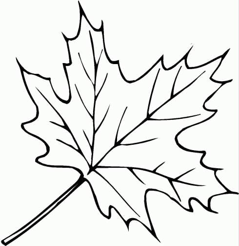 Раскраска лист с дерева распечатать