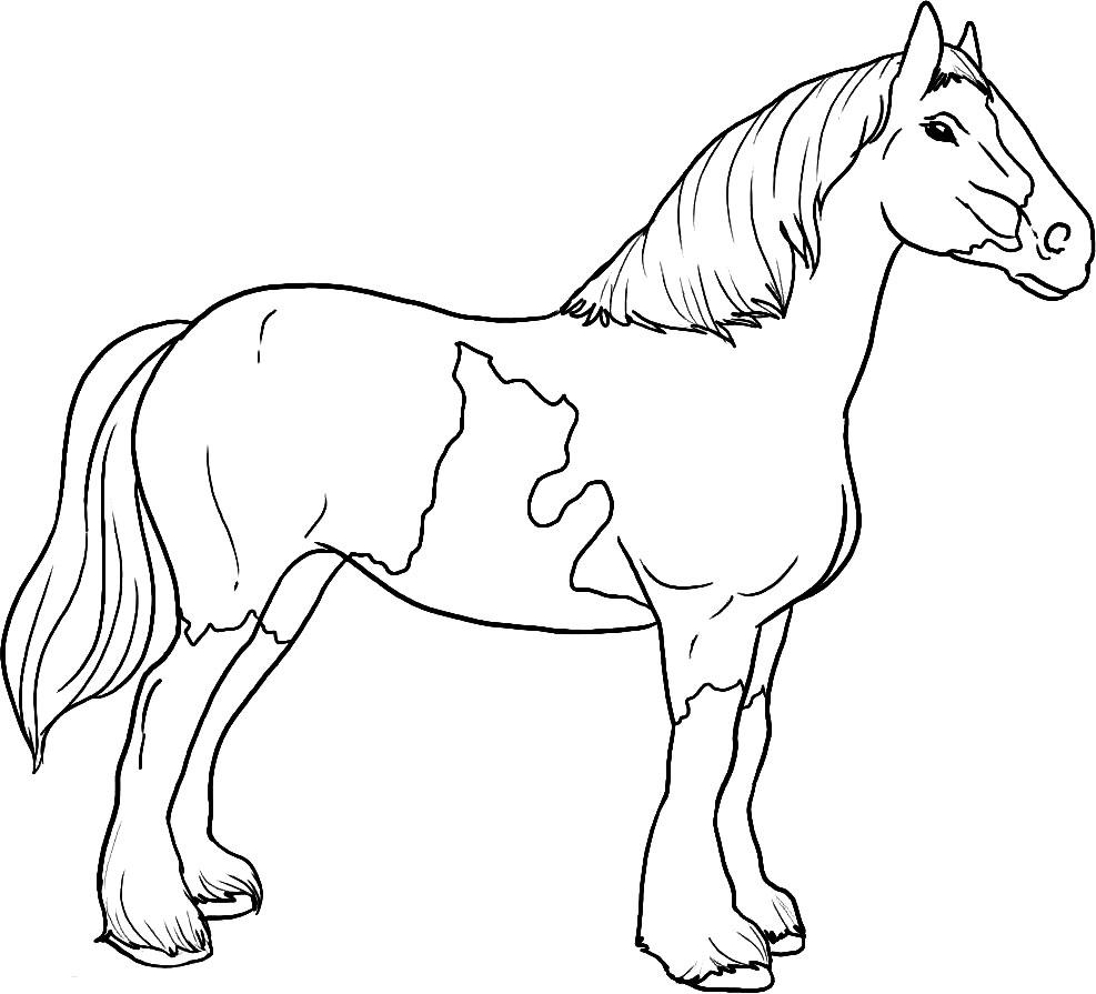 Раскраски лошадей для 11 лет (51 фото)