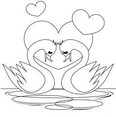 Лебединая любовь