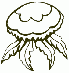Крупная медуза