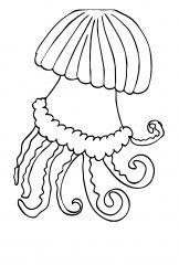 Крупная  медуза