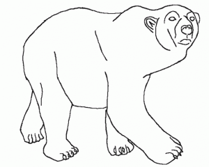Отважный медведь