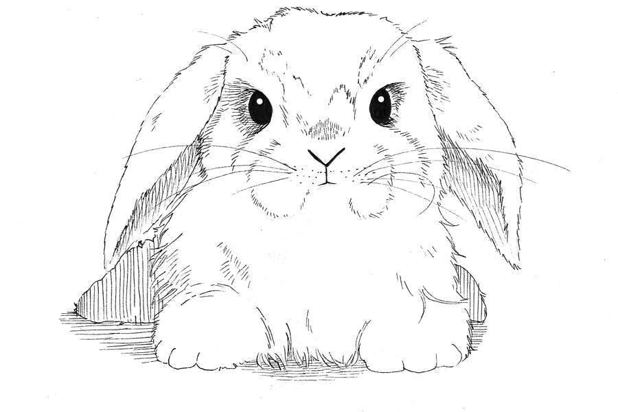 Четвертая иллюстрация к книге Лиса и заяц. Сказки-раскраски для детей 3-4 лет