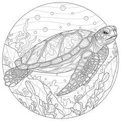 Черепаха морская