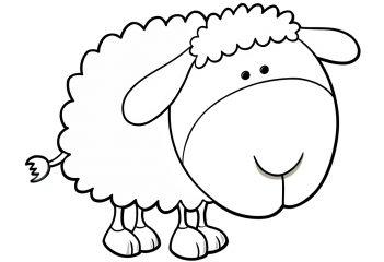 Забавная овца