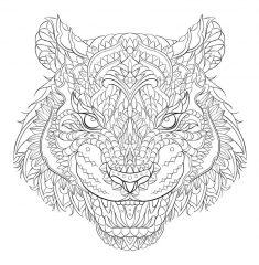 рисунок тигр
