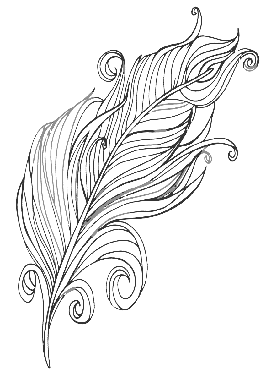 рисунок перьев павлина