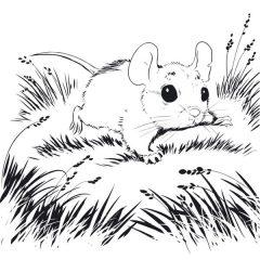 Мышонок Пик в траве