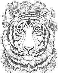 зверь тигр