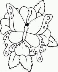 раскраска бабочка на цветке