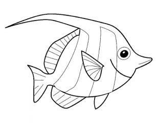 Картинка Рыбка