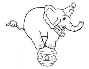 слон на шаре