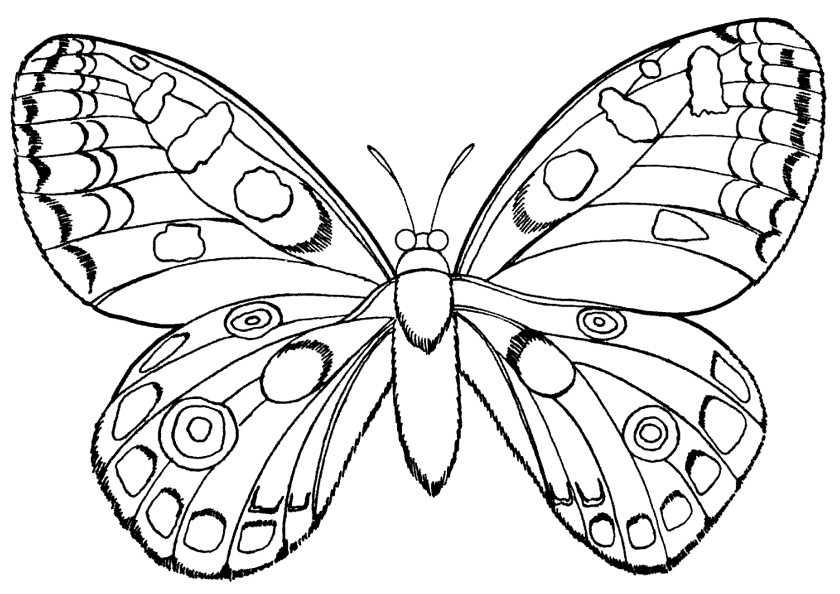 Бабочка – раскраска для девочек и для мальчиков