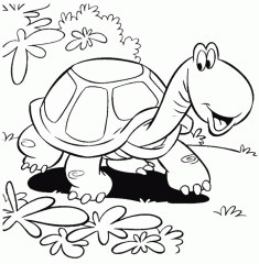 Черепаха на лужайке