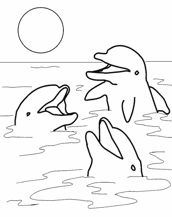 Раскраска дельфин. Распечатать картинки для детей