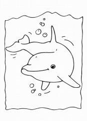 Дельфин раскрашивать